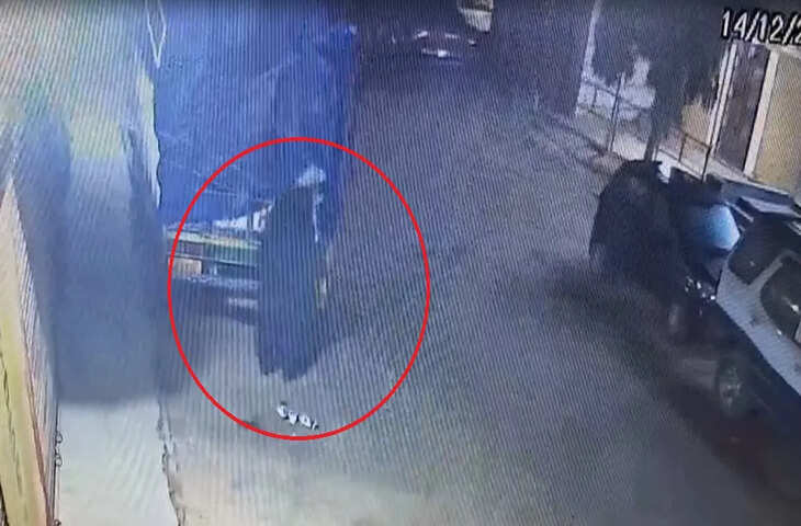 शहडोल में 'कुरकुरे-चिप्स' के पैकेट लूटता दिखा भालू, गाड़ी से पैकेट चुराते VIDEO वायरल