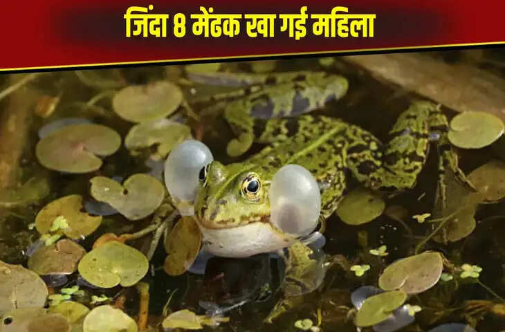 इलाज के लिए महिला खा गई 8 जिंदा मेंढक, फिर शरीर में दिखा ऐसा असर&hellip;जानकर उड़ गए डॉक्टरों के होश