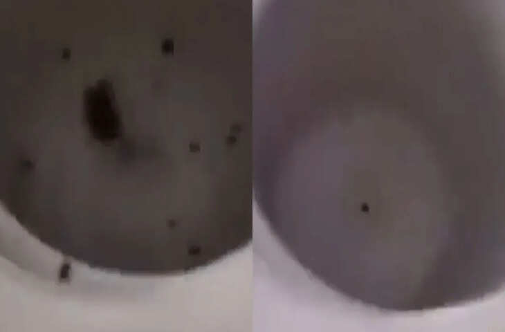 हंसी भी, गुस्सा भी&mdash;इंटरनेट पर छाया विवादित वीडियो, लोगों ने जताई नाराज़गी