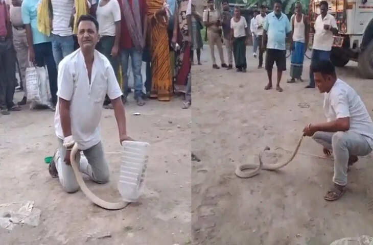 पकड़ने गया व्यक्ति ही बन गया शिकार, नागराज के वार से मौके पर मौत, वीडियो देख कांप जाएंगे आप&nbsp;