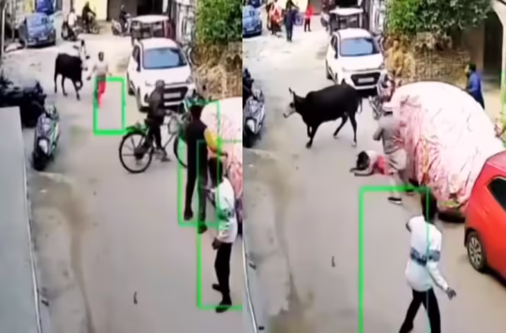 लखनऊ में आवारा सांड का आतंक, लड़की को दौड़ते हुए पटक-पटकर मारा; वीडियो वायरल