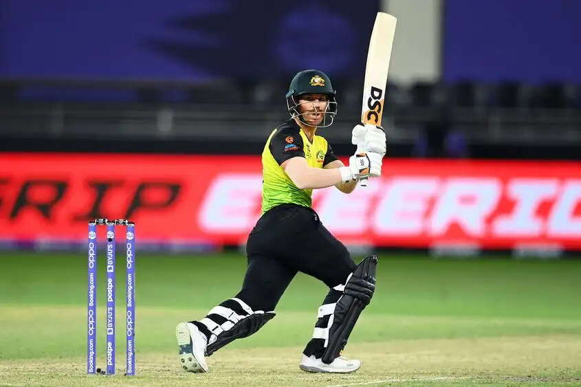 david warner t20 wc --11.jpg