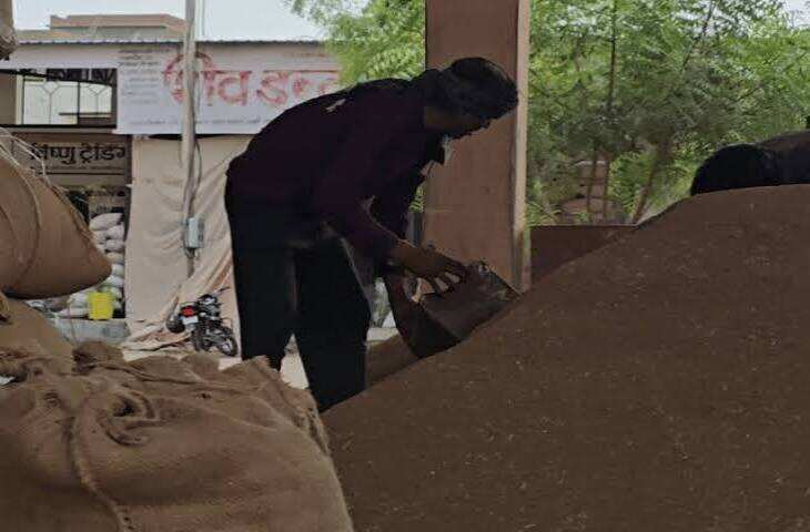 नागौर कृषि उपज मंडी में बुधवार को विभिन्न जिंसों के भाव में मिलाजुला रुख देखने को मिला। 11 अगस्त के मुकाबले 12 अगस्त को कुछ कृषि जिंसों के भाव में तेजी दर्ज की गई, जबकि कुछ जिंसों में नरमी रही। मंडी में सबसे ज्यादा तेजी ईसबगोल के अधिकतम भाव में रही, जिसमें एक दिन में 500 रुपए प्रति क्विंटल का उछाल दर्ज किया गया।  मंडी में कृषि उपज की आवक और मांग के अनुसार भाव में लगातार उतार-चढ़ाव बना हुआ है। बुधवार को भी अलग-अलग जिंसों के भाव में बदलाव देखने को मिला। किसानों और व्यापारियों की नजर मंडी भाव पर बनी रही। ईसबगोल के भाव में आई तेजी ने किसानों और कारोबारियों का ध्यान आकर्षित किया।  11 अगस्त की तुलना में 12 अगस्त को ईसबगोल के अधिकतम भाव में 500 रुपए प्रति क्विंटल की बढ़ोतरी दर्ज की गई। कृषि जिंसों के बाजार में ईसबगोल की मांग और उपलब्धता के आधार पर भाव में यह बदलाव महत्वपूर्ण माना जा रहा है। हालांकि मंडी में अन्य जिंसों के भाव में अलग-अलग तरह का रुख देखने को मिला।  मंडी में जिंसों के भाव रोजाना आवक, मांग, गुणवत्ता और बाजार की परिस्थितियों के आधार पर प्रभावित होते हैं। किसानों के लिए मंडी भाव में होने वाले बदलाव महत्वपूर्ण होते हैं, क्योंकि इसी आधार पर वे अपनी उपज बेचने का निर्णय लेते हैं। वहीं व्यापारियों के लिए भी बाजार में तेजी और मंदी का सीधा असर कारोबार पर पड़ता है।  बुधवार को मंडी में कारोबार के दौरान कुछ जिंसों के भाव में तेजी रही तो कुछ में गिरावट देखने को मिली। इस कारण कुल मिलाकर मंडी का रुख मिलाजुला रहा। ईसबगोल में सबसे अधिक तेजी दर्ज होने से इस जिंस के उत्पादकों को बेहतर भाव मिलने की उम्मीद बढ़ी है।  मंडी कारोबार से जुड़े लोगों के अनुसार, आने वाले दिनों में आवक और बाजार की मांग के आधार पर जिंसों के भाव में बदलाव जारी रह सकता है। किसानों को अपनी उपज मंडी में बेचने से पहले उस दिन के भाव और गुणवत्ता के अनुसार बाजार की स्थिति की जानकारी लेने की सलाह दी जाती है।  फिलहाल नागौर कृषि उपज मंडी में 12 अगस्त को ईसबगोल के अधिकतम भाव में 500 रुपए प्रति क्विंटल की तेजी प्रमुख रही। वहीं अन्य जिंसों में तेजी और मंदी के कारण मंडी में भाव का रुख मिलाजुला बना रहा।