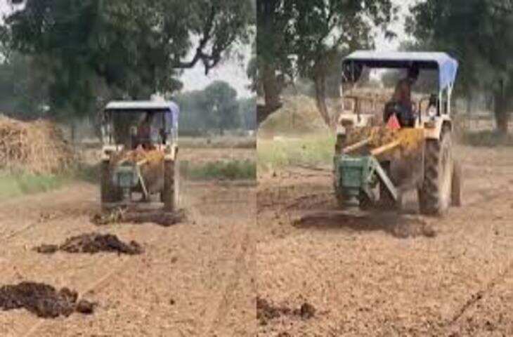 आज का वायरल वीडियो (21 अप्रैल 2026): कुत्ते की समझदारी वाला मजेदार क्लिप, लोगों की छूटी हंसी