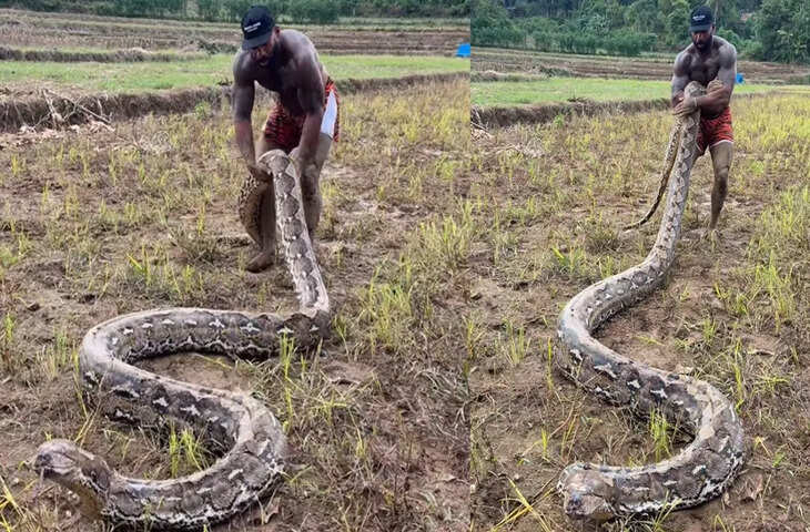 OMG! विशालाय अजगर को पकड़कर घसीटता दिखा ये शख्स, वायरल वीडियो देख फटी रह गई लोगों की आँखें 