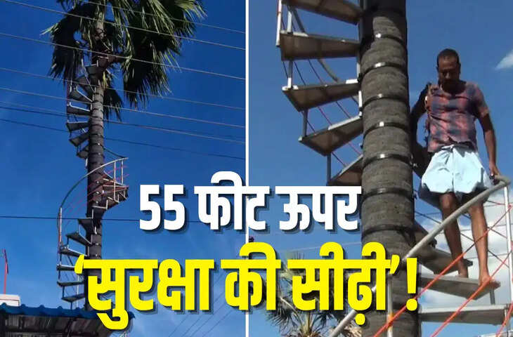 बेटा हो तो ऐसा! 70 साल के पिता की सुरक्षा के लिए 55 फीट ऊंचे खजूर के पेड़ पर बनवा दी लोहे की सीढ़ियां, वायरल हुआ अनोखा जुगाड़