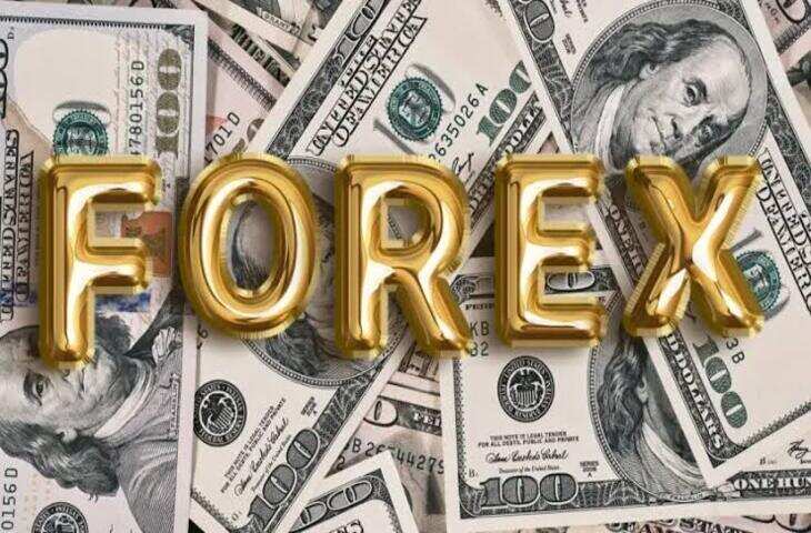India Economy: विदेशी मुद्रा भंडार में रिकॉर्ड उछाल! $707 अरब के पार पहुंचा भारत का खजाना, 6 हफ्ते में इतनी बढ़ोतरी