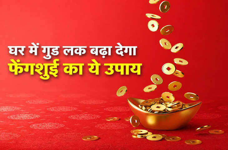 मेन गेट पर लटकाएं चीनी सिक्के, घर में आएगी धन-समृद्धि! जानें फेंगशुई में 3, 6 और 9 सिक्कों का महत्व