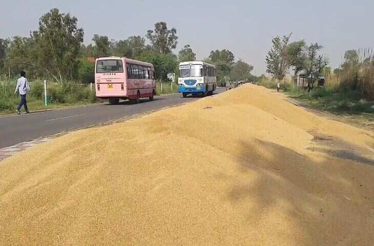 मंडियां खचाखच भरी, गेहूं सड़कों और स्कूलों में फैला