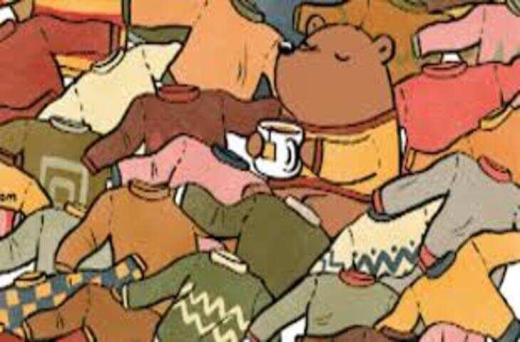 ऑप्टिकल इल्यूजन चैलेंज: 10 सेकेंड में ढूंढिए बिना जोड़ी वाला जुराब, दिमाग की होगी असली परीक्षा