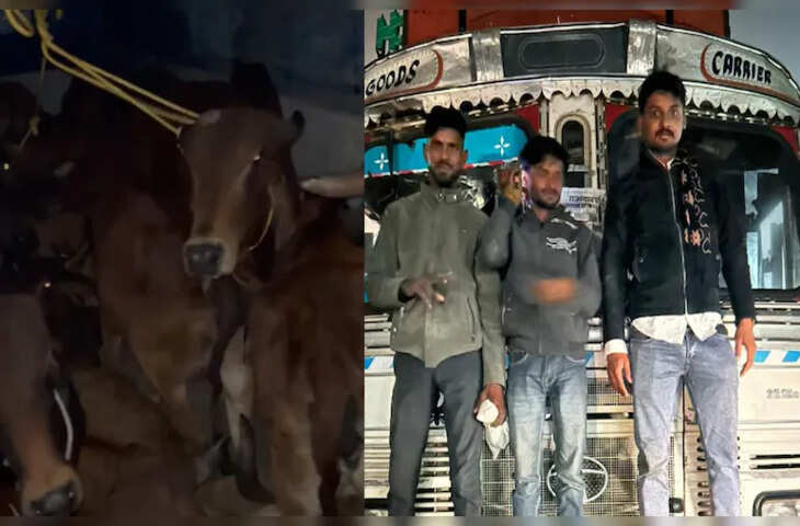 किशनगढ़&ndash;जयपुर हाईवे पर गौरक्षकों ने पकड़ा गौवंश से भरा ट्रक, चालक फरार