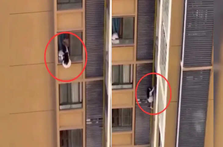 शादीशुदा मर्द के संग हो रहा था रोमांस, तभी अचानक आ धमकी पत्नी, गर्लफ्रेंड ने ऐसे बचाई जान