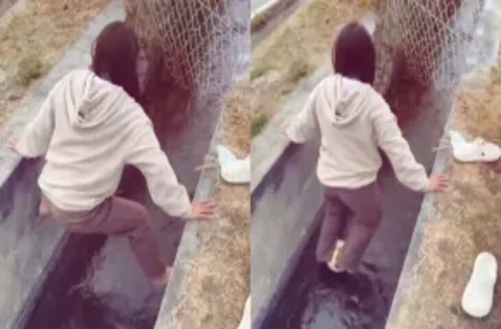 Viral Video: दीदी के साथ हुआ ऐसा मजेदार हादसा कि हंसते-हंसते पेट पकड़ लेंगे आप, इंटरनेट पर छाया क्लिप