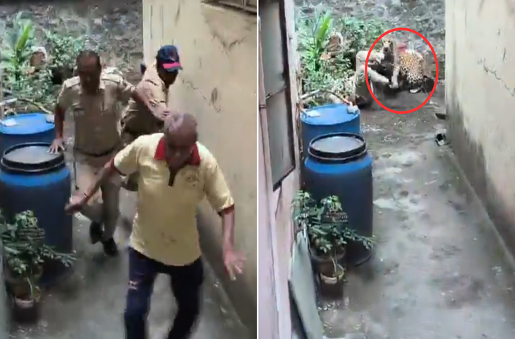 तेंदुए को 'कैच' करने रॉड और डंडा लेकर पहुंचे थे पुलिसवाले, खुद को घिरता देख ऐसा भड़का खूंखार कि कर दिया पलटवार