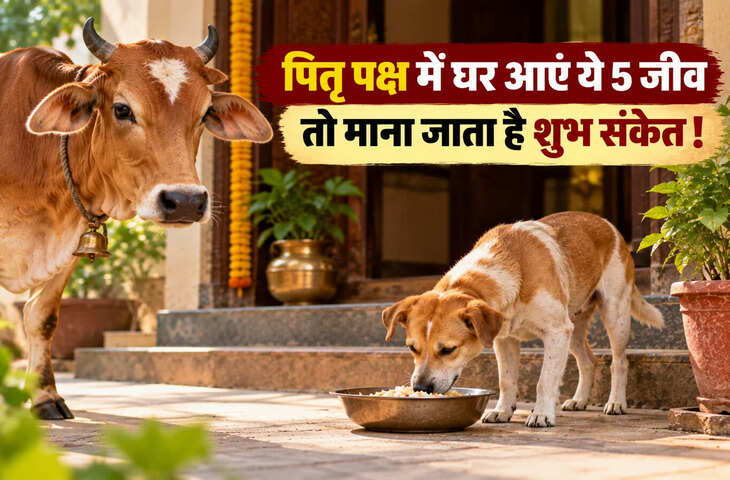 पितृ पक्ष में इन 5 जीवों का घर आना माना जाता है शुभ, पितरों से जुड़ा देते हैं संकेत