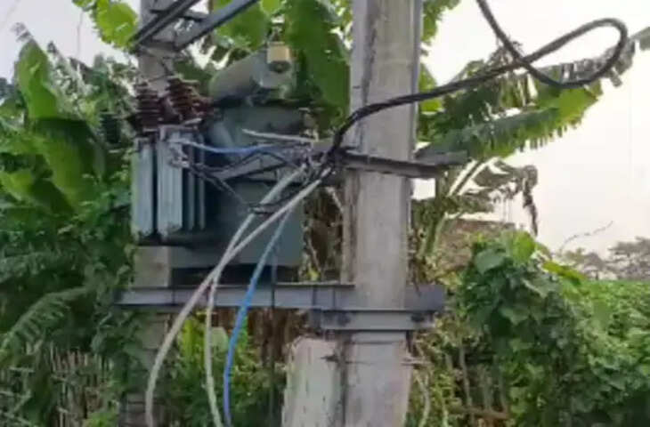 किशनगंज में करंट लगने से दुधारू गाय की मौत, बिजली विभाग की लापरवाही का आरोप