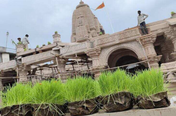Chhindwara News: छिंदवाड़ा में आज भुजलिया उत्सव, जुलूस में दिखेगी शस्त्र कला; चन्द्रावली बांधेंगी रक्षासूत्र, तोपों की सलामी खास आकर्षण