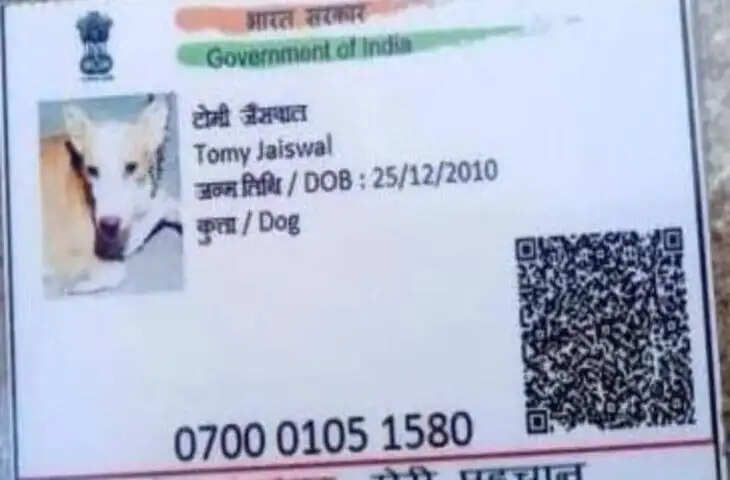 कुत्ते का बना आधार कार्ड! सोशल मीडिया पर वायरल हुआ &lsquo;टॉमी जैसवाल&rsquo; का कार्ड, जांच में निकला फर्जी