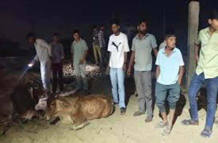 लाठी क्षेत्र में दो रेल हादसे: तीन गोवंश की मौत, तीन लोग गंभीर घायल