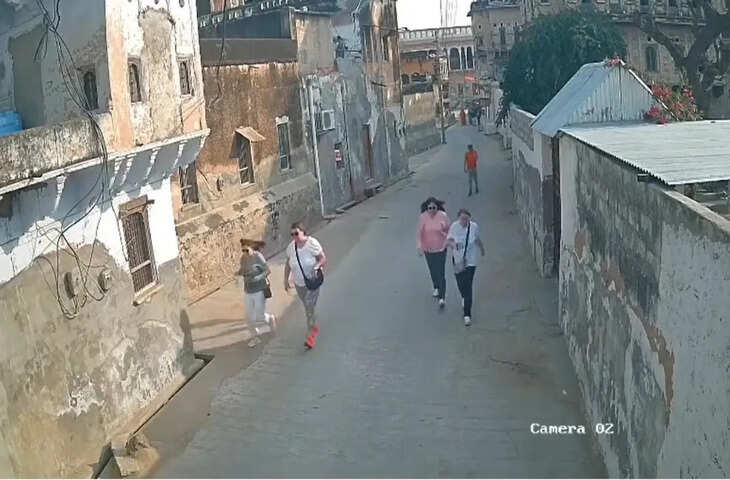 मंडावा में विदेशी सैलानियों पर मधुमक्खियों का हमला, गोयनका हवेली में अफरा-तफरी