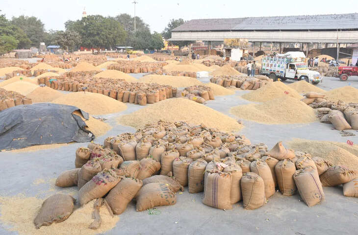 भामाशाह मंडी में कृषि जिन्सों और किराना बाजार में कीमतों में तेजी