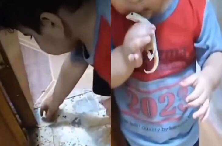 लाखों लड़कियों के डर से खिलौने की तरह खेलता दिखा मासूम बच्चा, वीडियो देख यूजर्स के उड़े होश&nbsp;