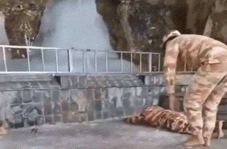 अमरनाथ गुफा में हिम शिवलिंग का आकार घटकर 4 फीट हुआ, फुटेज में देंखे पहले दिन 12 हजार श्रद्धालुओं ने किए बाबा बर्फानी के दर्शन