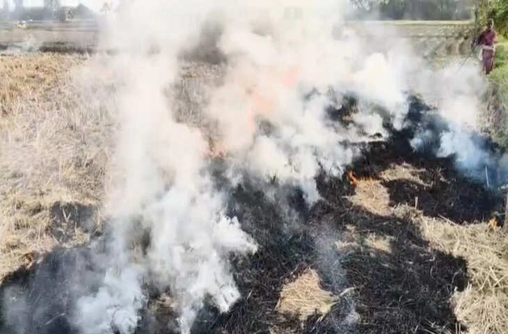 पंजाब में खुलेआम जलाई जा रही पराली, एक हफ्ते में 580 से ज्यादा मामले&hellip; जानें ग्राउंड जीरो की हकीकत