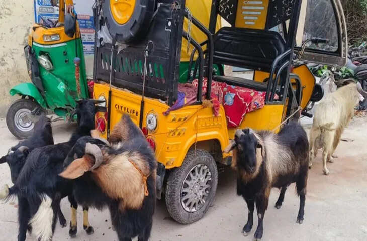 नवगछिया में मटन दुकान पर छापा, 5 बकरे बरामद; मिलावट के आरोपों की जांच जारी
