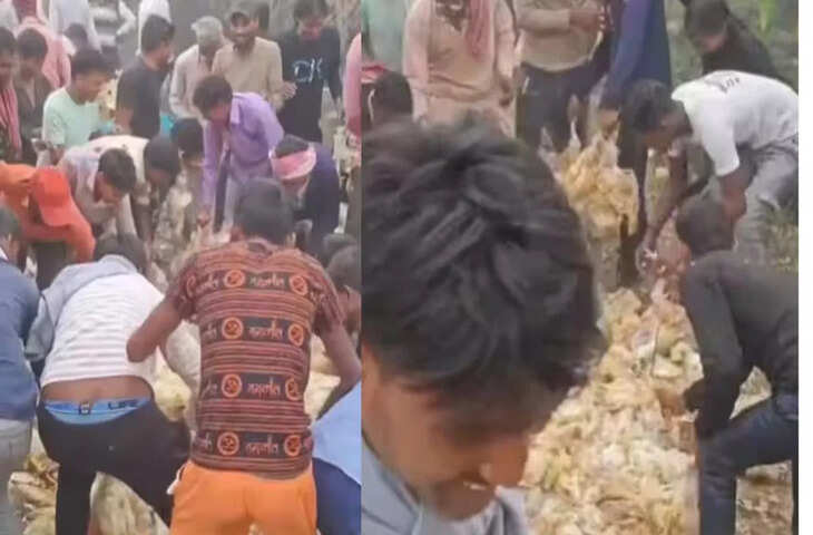 मरे हुए चिकन को लूटने के लिए लगी भीड़, सड़क पर मची अफरा-तफरी, वीडियो हुआ वायरल