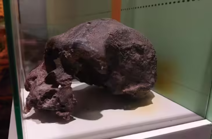 'धरती पर हम अकेले नहीं...'&nbsp;इंडोनेशिया में मिले लाखों साल पुराने इंसानों के सबूत, खोज ने वैज्ञानिकों के भी उड़ाए होश&nbsp;