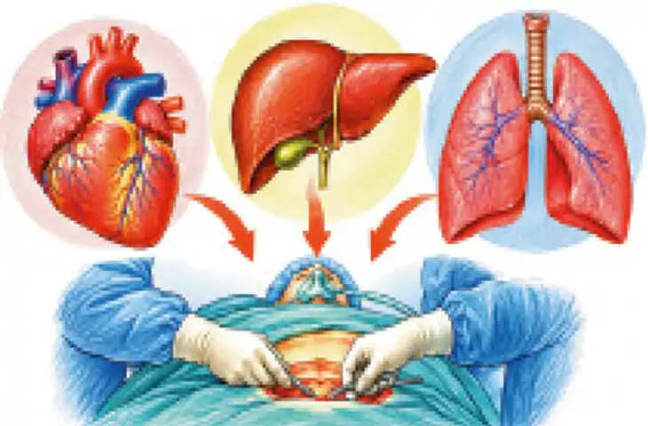 MP News: मध्य प्रदेश में आयुष्मान योजना के तहत हार्ट, लिवर और लंग ट्रांसप्लांट का खर्च उठाने की तैयारी, इलाज की सीमा 10 लाख करने का प्रस्ताव