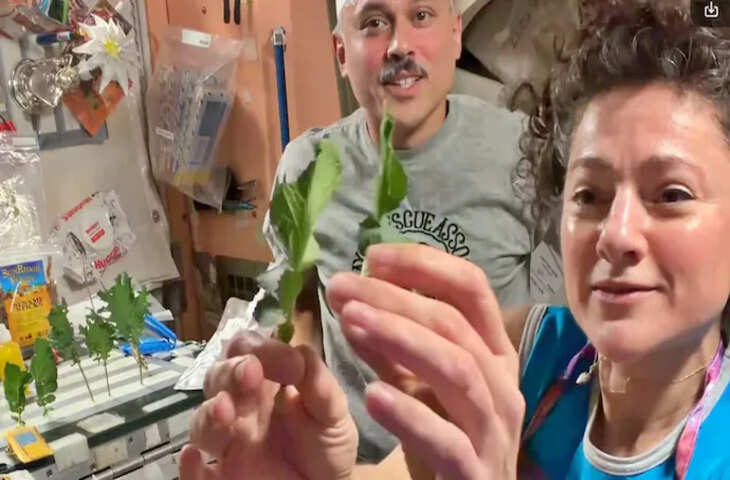 NASA Astronaut ने अंतरिक्ष में उगाईं ताजी सब्जियां! Video में दिखाया स्पेस स्टेशन पर कैसे तैयार होता है खाना