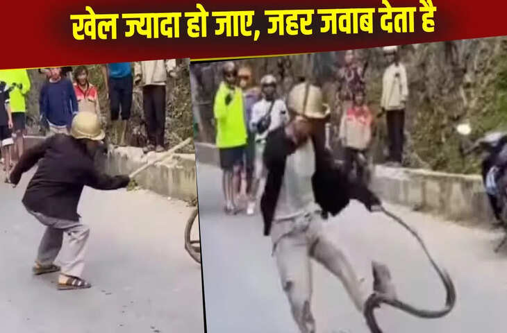  किंग कोबरा से मस्ती कर रहे थे चाचा, अंत में खेल का जवाब जहर से दे गया सांप