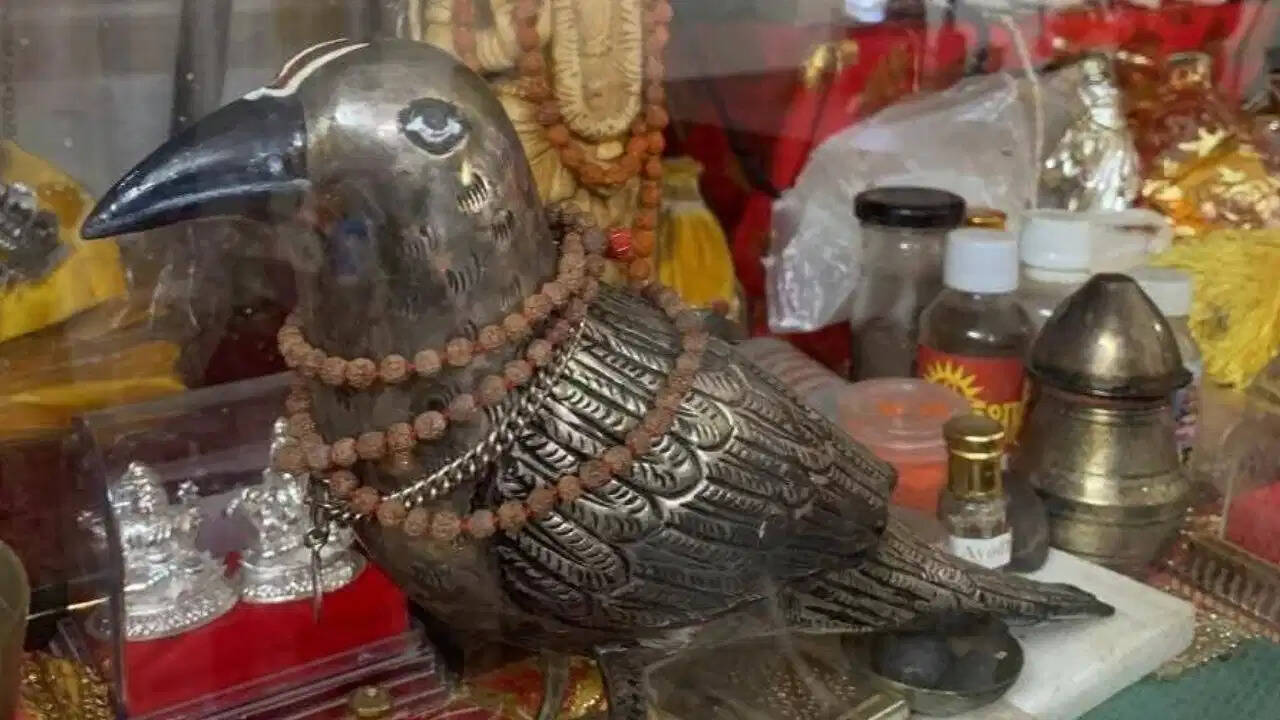 चांदी का काकभुशुण्डि मिला, चढ़ावा विवाद में आया नया मोड़