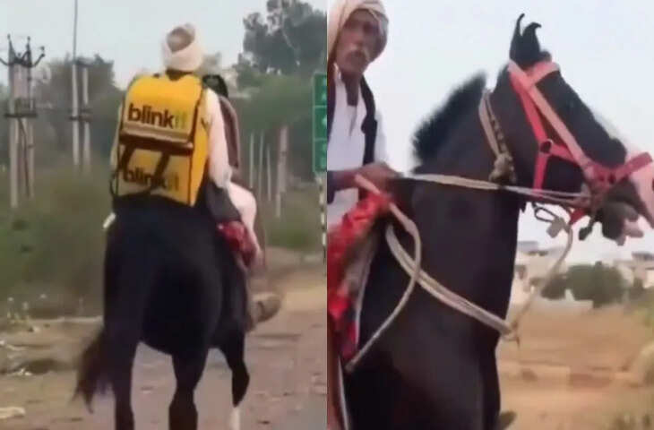 इसे कहते हैं एकदम रॉयल डिलीवरी, घोड़े पर ब्लिंकिट का बैग लटकाए जाते दिखे ताऊ, Video हुआ वायरल