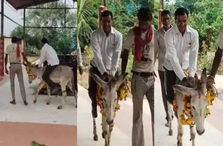 गधे पर बैठकर श्मशान की परिक्रमा, अनोखी परंपरा देखने उमड़ी लोगों की भीड़
