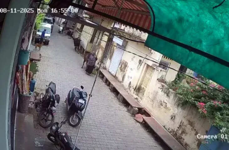 जयपुर के कोतवाली थाना इलाके में महिला को सांड ने जोरदार टक्कर मारी, सीसीटीवी में कैद हुई घटना