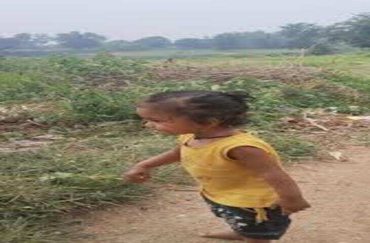 Viral Video: गुड़िया के लिए नन्हे बच्चे का मासूम प्यार जीत लेगा आपका दिल, वीडियो देख चेहरे पर आ जाएगी मुस्कान