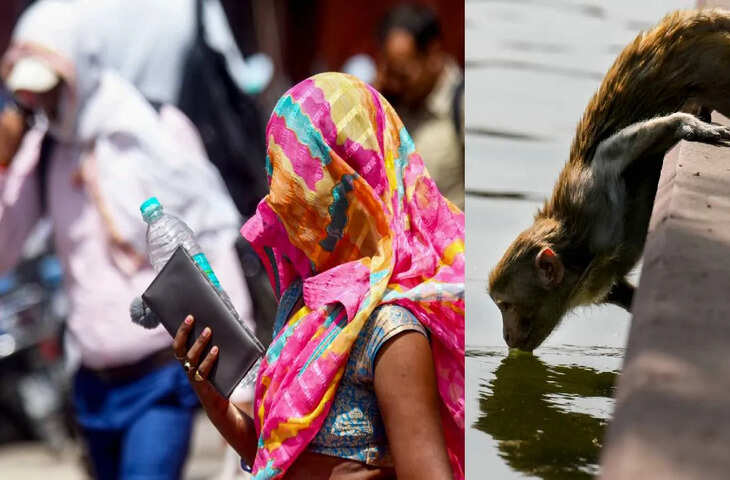 गर्मी ने तोड़े सारे रिकॉर्ड! टॉप 20 हॉटेस्ट सिटीज में 19 India के, जानिए कहाँ पड़ सबसे ज्यादा गर्मी&nbsp;