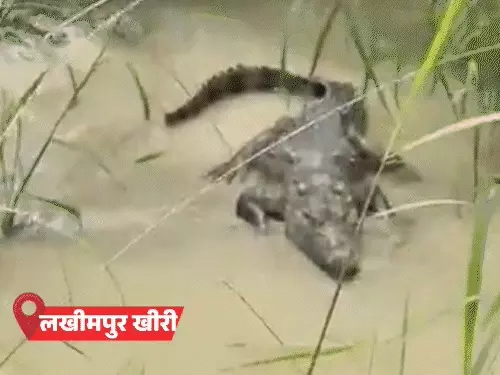 यूपी में मानसून की रफ्तार धीमी, कई जिलों में बारिश थमी; बरेली में तेज बारिश, लखनऊ-कानपुर में छाए बादल