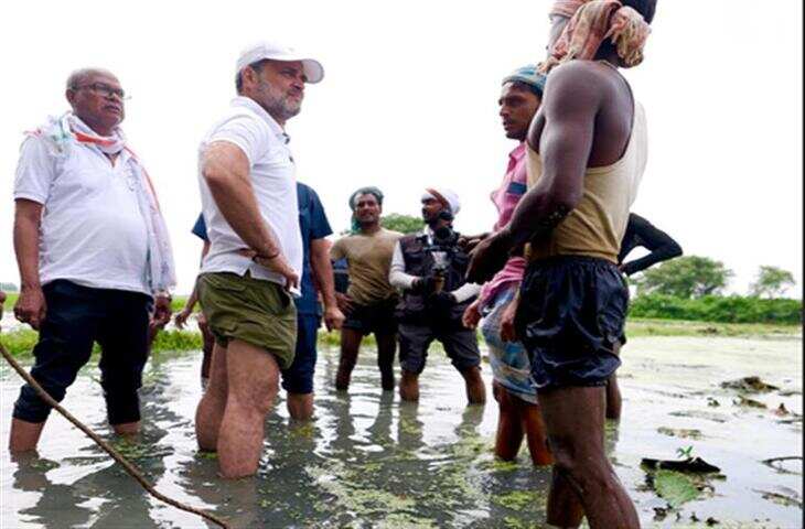 बिहार का मखाना बना राष्ट्रीय राजनीति का मुद्दा! वीडियो में देखे राहुल गांधी का बिचौलियों पर हमला, बोले -'किसान रह जाता हैं ठगा...'