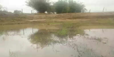 Bihar में अमृत सरोवर को लेकर कवायद शुरू, मनरेगा के तहत बनेंगे तालाब