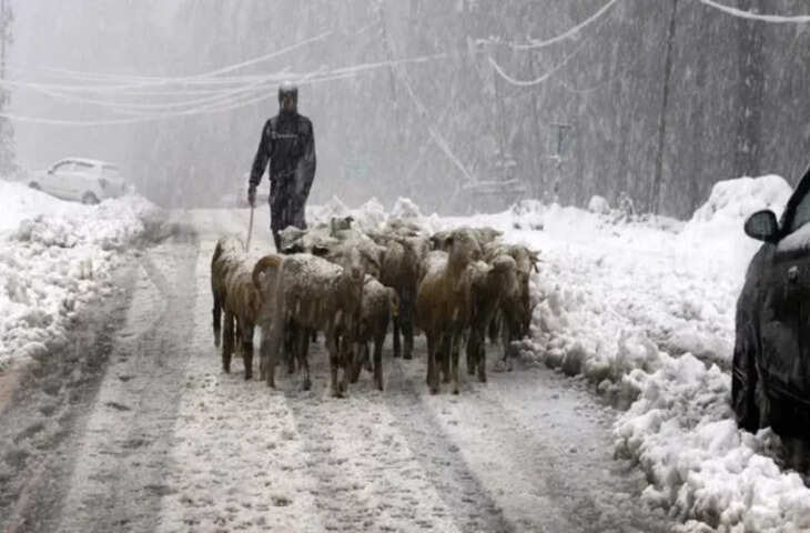 Samba जम्मू-कश्मीर में पशुधन को बढ़ावा देने के लिए चारे की कमी को कम करने की योजना