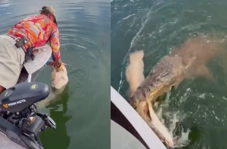 मछली पकड़ने गया शख्स खुद बन जाता शिकार, खौफनाक वायरल वीडियो&nbsp;देखकर रह जाएंगे दंग