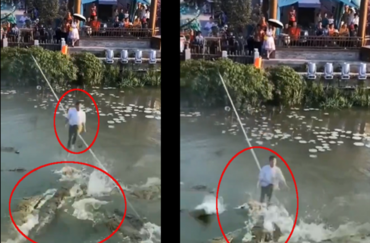 मगरमच्छों से भरी थी नदी, ठीक ऊपर रस्सी पर स्टंट दिखा रहा था शख्स, देखकर कांप जाएगा कलेजा