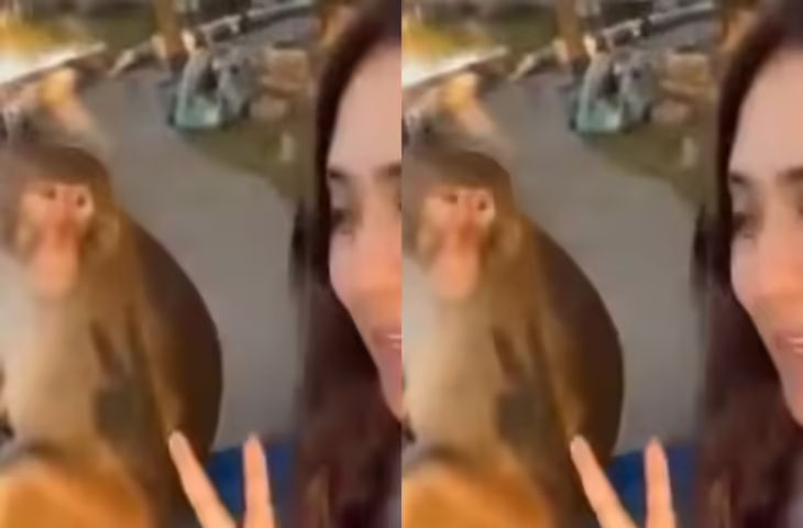 बंदर के साथ पोज मार रही थी पापा की परी मोंकेश भाई ने याद दिला दी नानी, वायरल वीडियो देख लोग बोले - 'और ले लो सेल्फी”