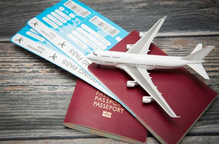 Flight Ticket Price: त्योहारों में महंगे टिकटों पर लगाम लगाने की तैयारी, सरकार बना रही नए नियम