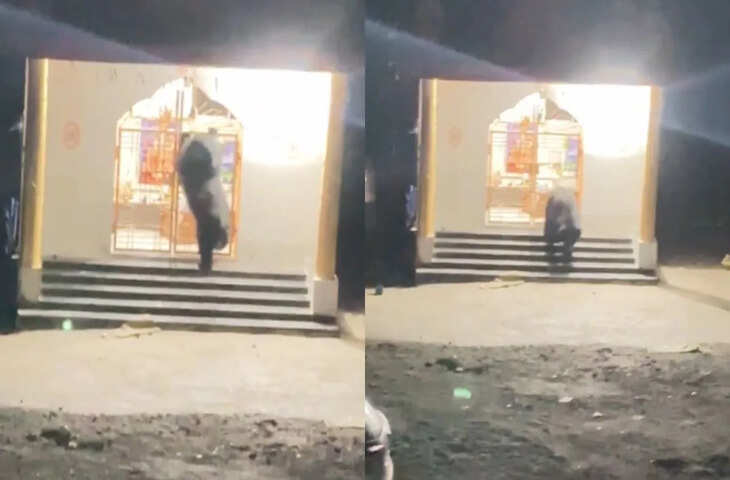 भालू बना शिव भक्त, भक्ति में लीन होकर मंदिर में बजाई घंटी, कांकेर का यह Video खूब हो रहा वायरल