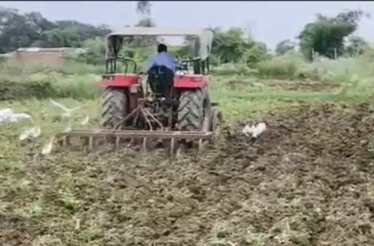 विंध्य में कमजोर मानसून से खरीफ फसलों पर संकट, धान का रकबा और उत्पादन 10% तक घटने का अनुमान